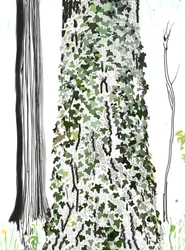 Albero con edera (arte digitale)