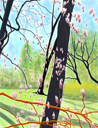 Albero dei tulipani
