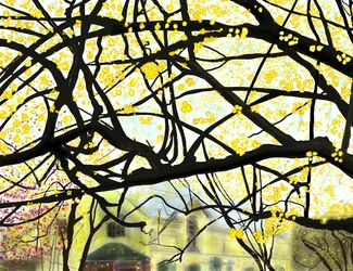 Albero in fiore giallo, Brooklyn (arte digitale)
