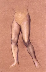 Studio di figura