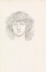 Testa di una ragazza