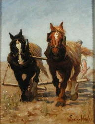 La squadra di aratura, Sussex Downs