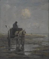 Cavallo e carro