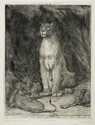 Leonessa seduta e tre cuccioli, 1888