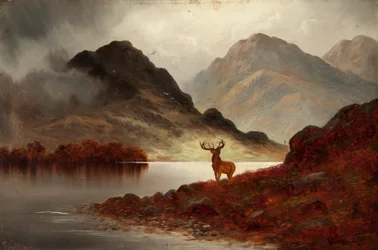 Cervo in fuga