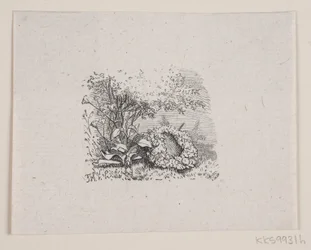 Illustrazione per "Le ultime ore", poesia di H. J. Greensteen