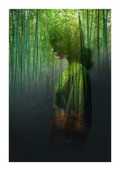 La donna della foresta di bambù