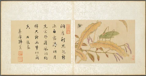 Album di Soggetti Vari, Foglio 7, 1600s