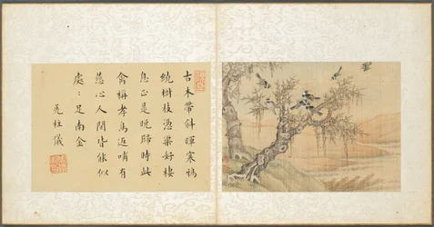 Album di soggetti vari, Foglio 9, 1600s