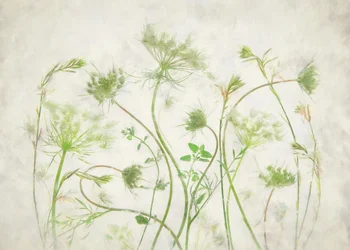 Botanici verdi delicati