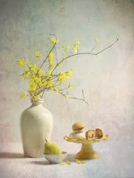 Deliziose forsizie gialle