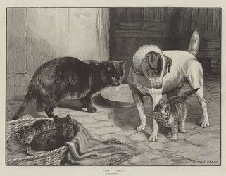 Una famiglia felice
