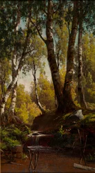 Torrente della Foresta