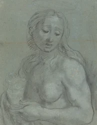 Mezza figura di Maria Maddalena (verso)
