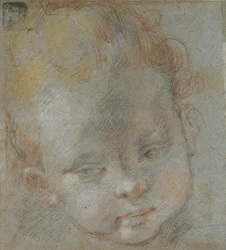 Testa di un bambino, fine XVI secolo