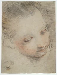 Testa di una Ragazza, studio per una figura nell