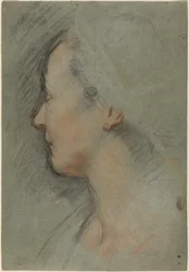 Testa di Donna