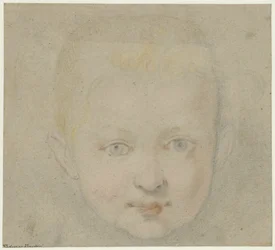 Testa di bambino