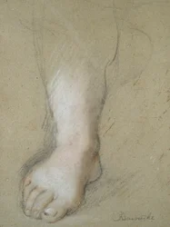 Studio di un piede