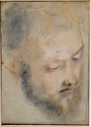 Studio di Testa Disegno di Barocci