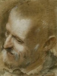 Studio della testa di un uomo barbuto girato a sinistra, 1590