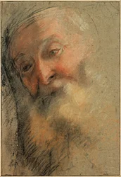Testa di un vecchio barbuto