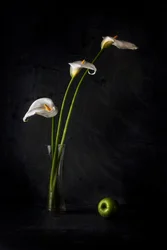 Calla e mela