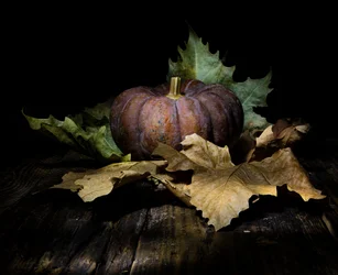 Zucca autunnale scura