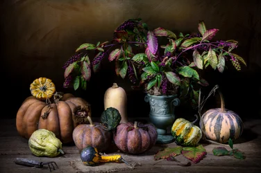 Moody: Raccolto autunnale