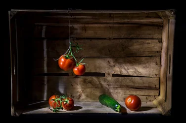 Cassa rustica per il raccolto