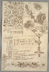 Motivi decorativi; Verso: Studi anatomici