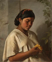 Donna indiana con calendula