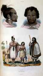 Illustrazione antropologica che raffigura la razza Maori
