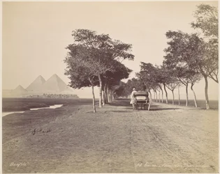 Il Cairo. Viale delle Piramidi