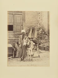 Donna egiziana con un asino