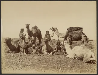 Sosta di cammellieri nel deserto