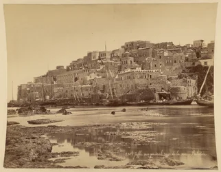 Giaffa, veduta generale presa dal mare, Palestina