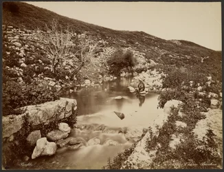 La fonte di Eliseo, Palestina