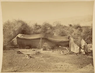 Tenda di beduini nomadi, Palestina