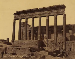 Colonnato staccato davanti a un tempio a Palmira, Siria
