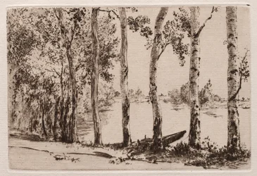 Pioppi sulla riva della Senna