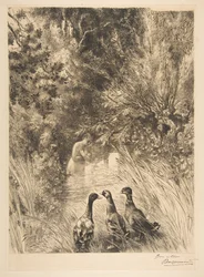 Anatre sorprese