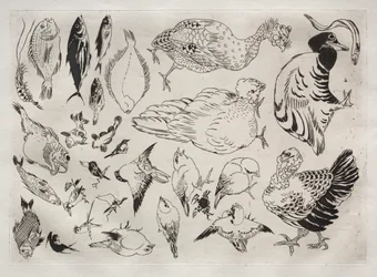 Servizio da tavola (servizio Rousseau): Anatre, pesci, ecc. (n. 12)