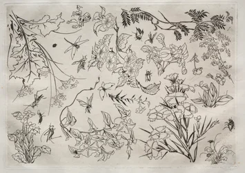 Servizio da tavola (servizio Rousseau): Fiori (n. 22)