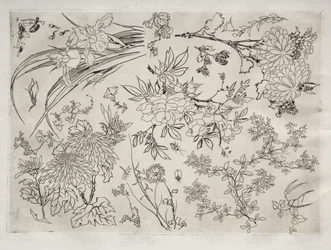 Servizio da tavola (servizio Rousseau): Fiori (n. 23)
