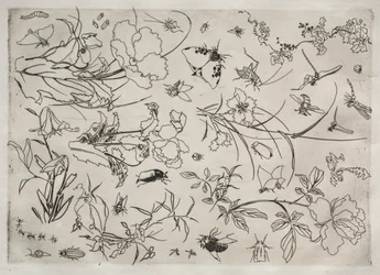 Servizio da tavola Rousseau: Fiori e insetti n. 15
