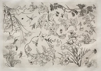 Servizio da tavola Rousseau: Fiori n. 22, 1866