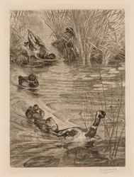 Anatre al gioco