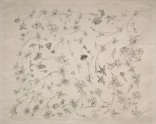 Disegni floreali per piatti e bordi (n. 14)
