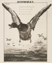 Le Canard